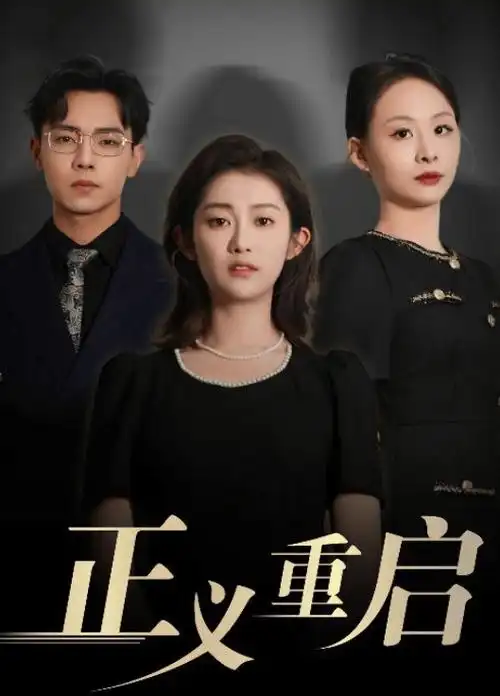沉默的证词 电视剧全集免费观看
